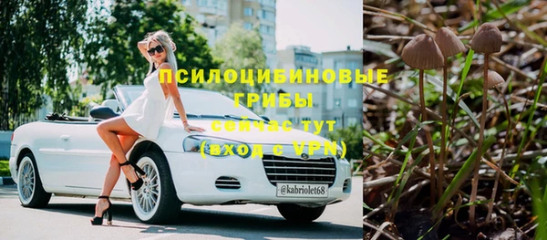 тгк Абдулино