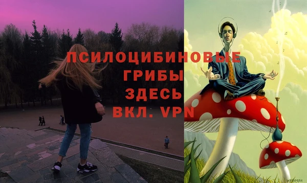 прущая мука Абаза