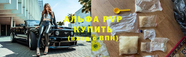 дживик Абинск