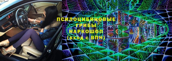 прущая мука Абаза