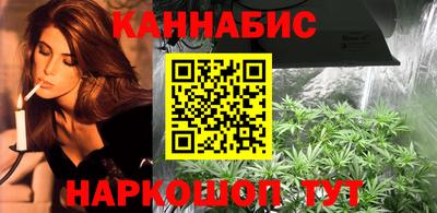 индика Гагарин