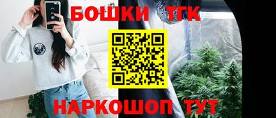 индика Гагарин