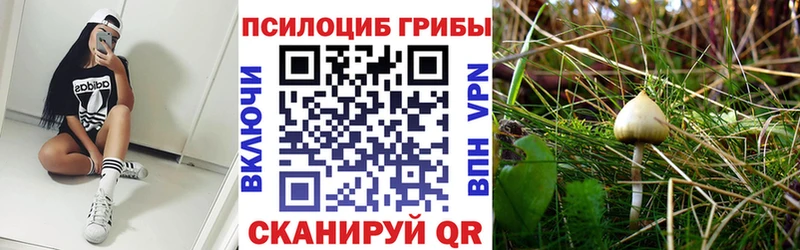 ссылка на мегу вход Тольятти Псилоцибиновые грибы мицелий