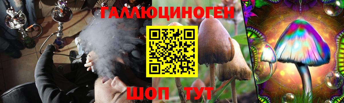 Псилоцибиновые грибы Magic Shrooms  Галлюциногенные грибы Magic Shrooms  Вход с VPN  Тольятти 
